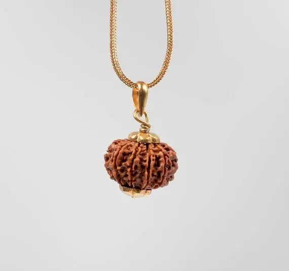 Natural 5 Mukhi Rudraksha Pendant with Gold-Plated Chain
