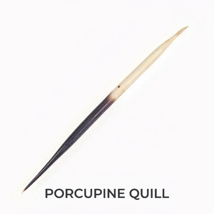 Natural Porcupine Quill (Sahi ka Kaanta) — Astrological Remedy for Protection & Prosperity