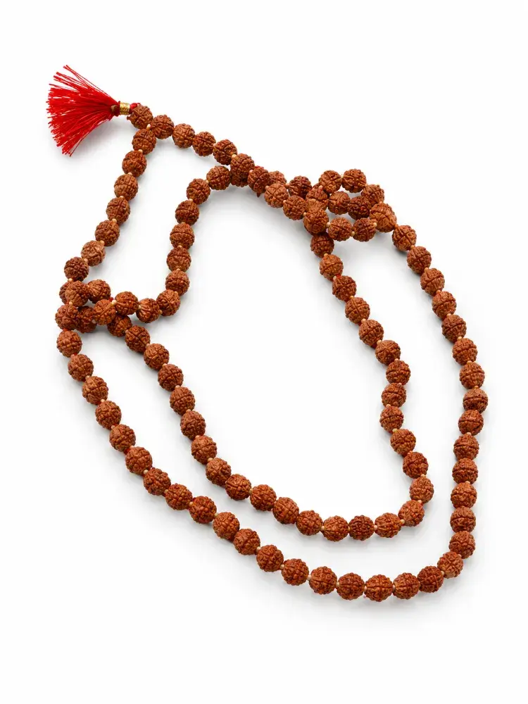 Natural 5 Mukhi Rudraksha Mala (108+1 Beads) — For Puja, Meditation & Astrology, Natural brown, 6mm