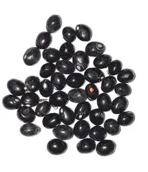 Black Gunja Seeds (Kali Gunja) for Spiritual & Astrology Practices