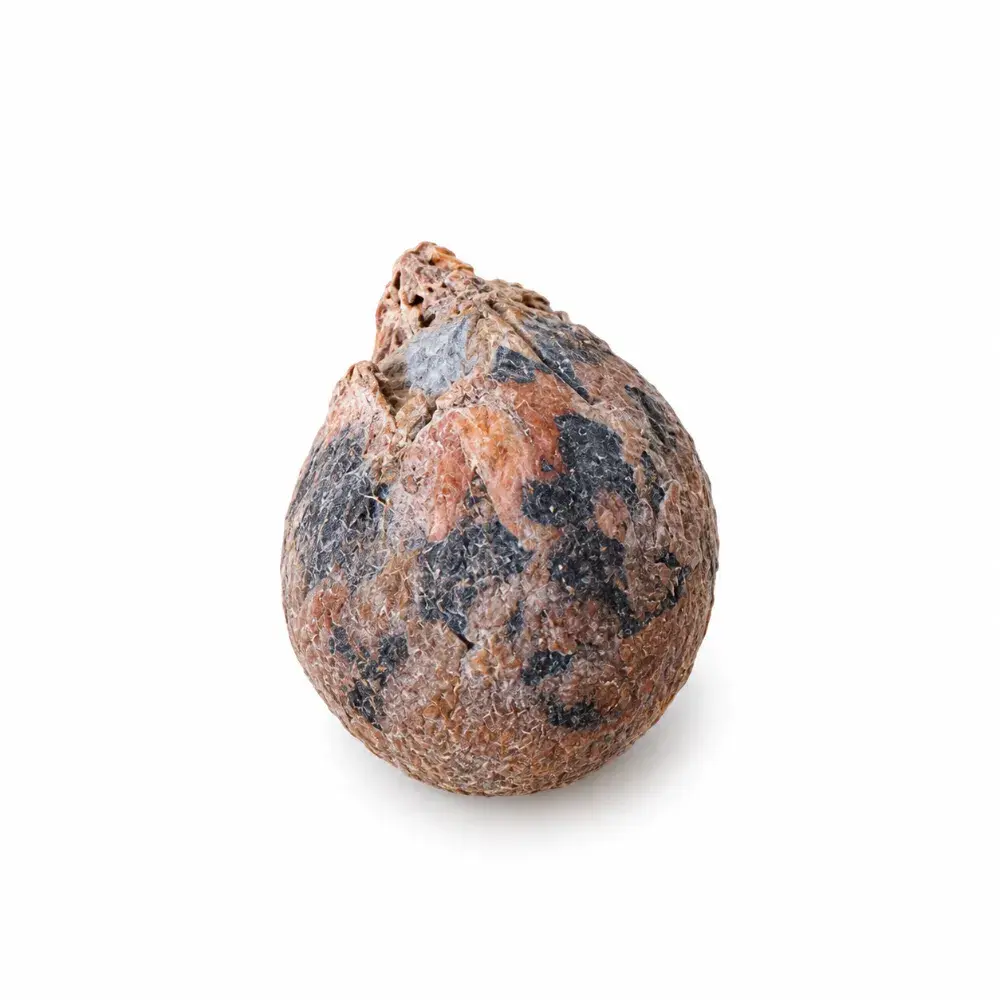 Gorochan – Traditional Astrology & Pooja Spiritual Item